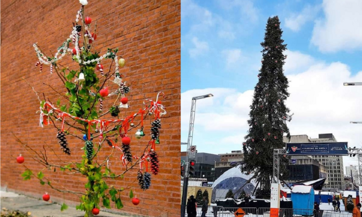 Chết cười xem những cây thông Noel xấu xí đến mức thảm họa