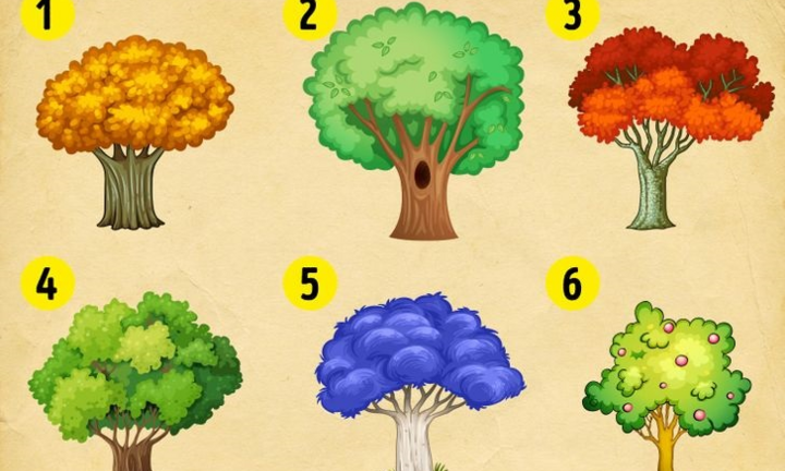 Trắc nghiệm vui: Dự đoán năm 2021 của bạn qua cách chọn cây