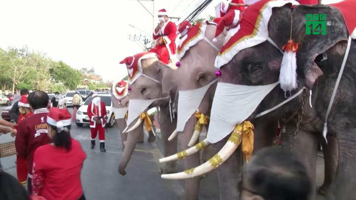 Video: Ngộ nghĩnh hình ảnh ông già Noel cưỡi voi đi phát khẩu trang tại Thái Lan