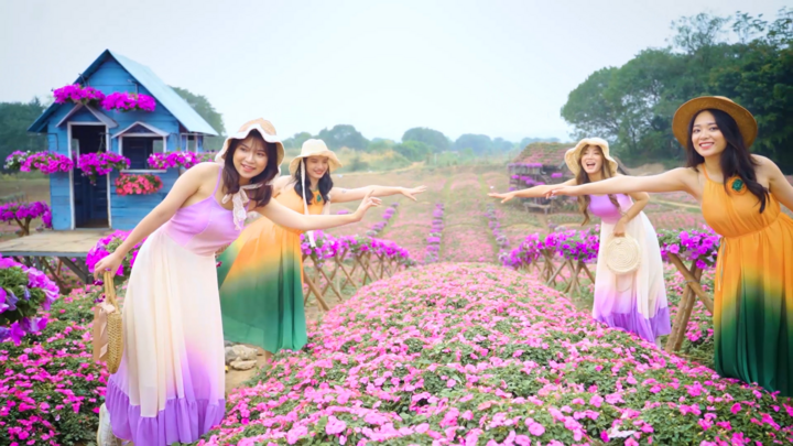 Video: Thiếu nữ Hà Nội đua nhau khoe dáng bên cánh đồng hoa ngọc thảo