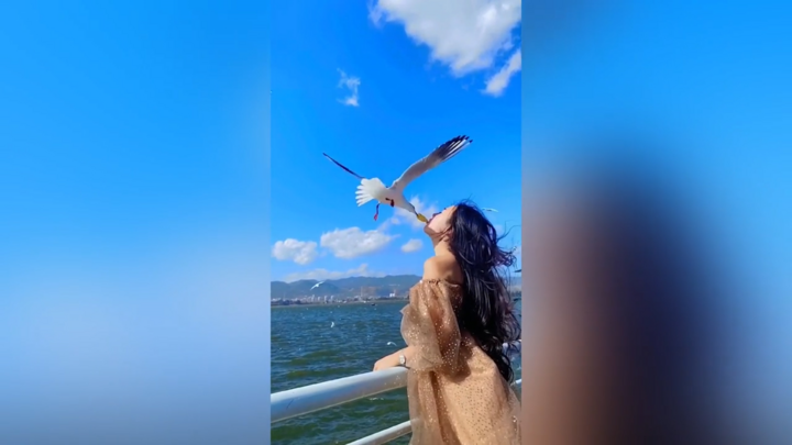 Ngỡ ngàng trước cảnh khách du lịch cho chim ăn bằng... miệng tại Trung Quốc