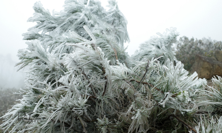 Ảnh: Huyện biên giới Bình Liêu đẹp mê đắm trong băng tuyết