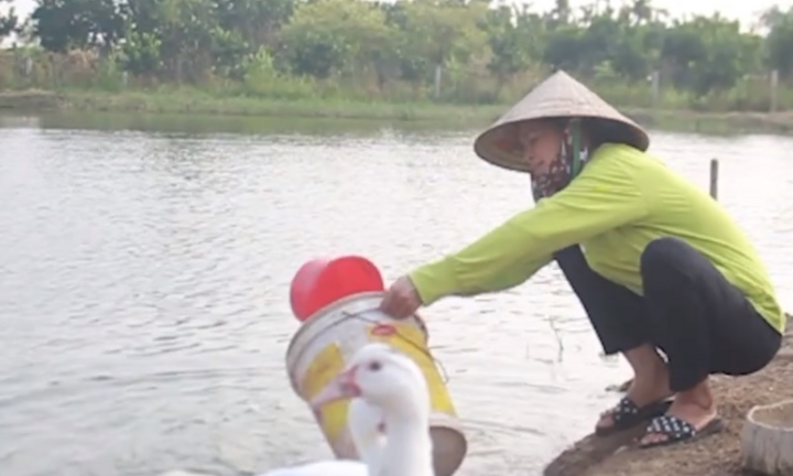 Lương thấp, giáo viên làm giúp việc, rửa bát thuê để mưu sinh