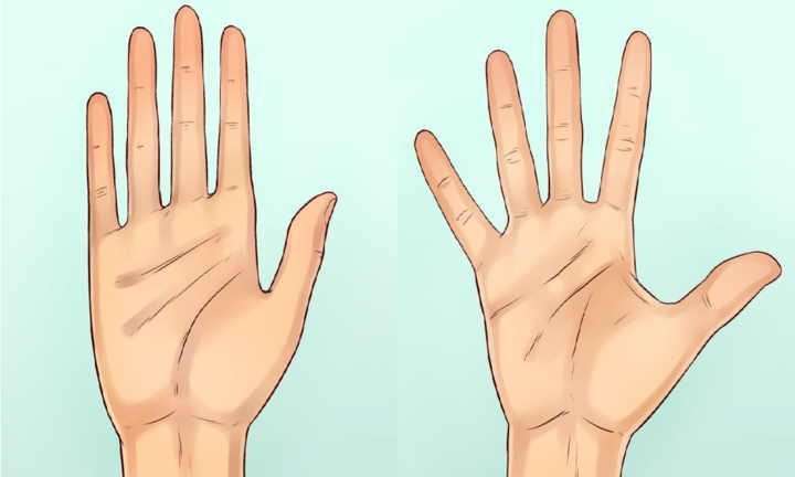 Đặc điểm bàn tay tiết lộ điều gì về tính cách của bạn?