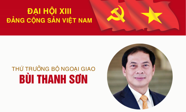 Infographic: Sự nghiệp Thứ trưởng Thường trực Bộ Ngoại giao Bùi Thanh Sơn