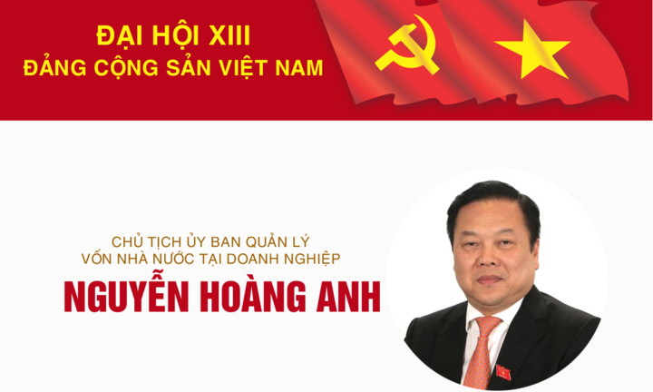 Infographic: Sự nghiệp Chủ tịch Ủy ban Quản lý vốn Nhà nước Nguyễn Hoàng Anh