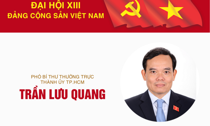 Infographic: Sự nghiệp Phó Bí thư Thường trực Thành ủy TP.HCM Trần Lưu Quang