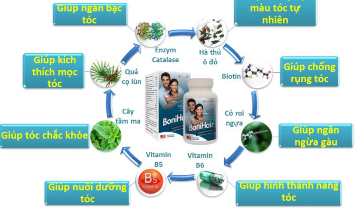 BoniHair - Bí quyết mang đến mái tóc đen, dày, chắc khỏe ngày tết
