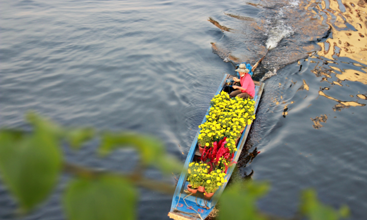 Ảnh: Rực rỡ chợ hoa 'trên bến, dưới thuyền' ở Sài Gòn