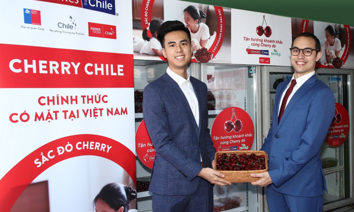 Cherry Chile lần đầu được nhập khẩu vào Việt Nam
