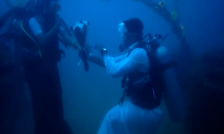 Video: Hôn lễ dưới biển ở Ấn Độ