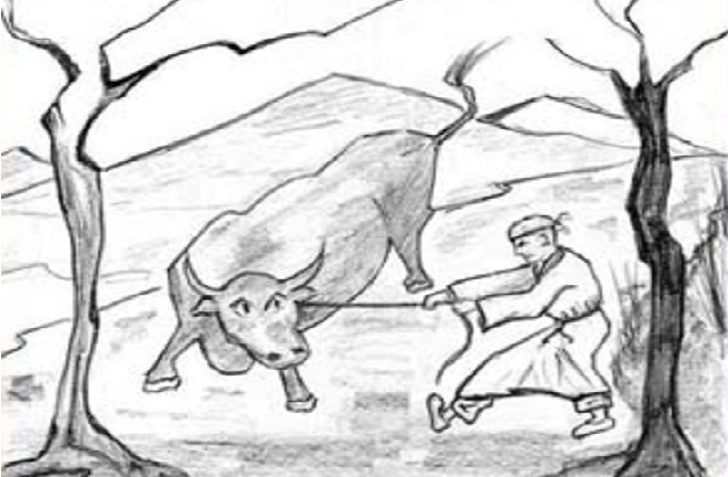 Phóng sinh sao lại đắt hơn sát sinh?