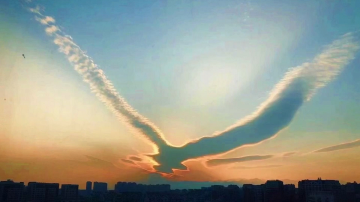 Video: Kỳ lạ đám mây hình chim khổng lồ sải cánh trên bầu trời Trung Quốc