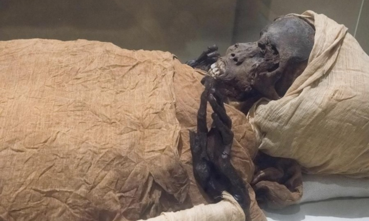 Xác ướp tiết lộ cái chết đau đớn của vị Pharaoh trên chiến trường