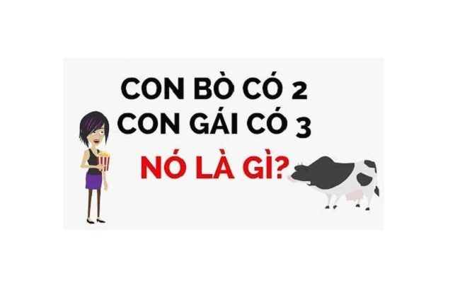 Đố mẹo: Cái gì con bò có 2, con gái có 3?
