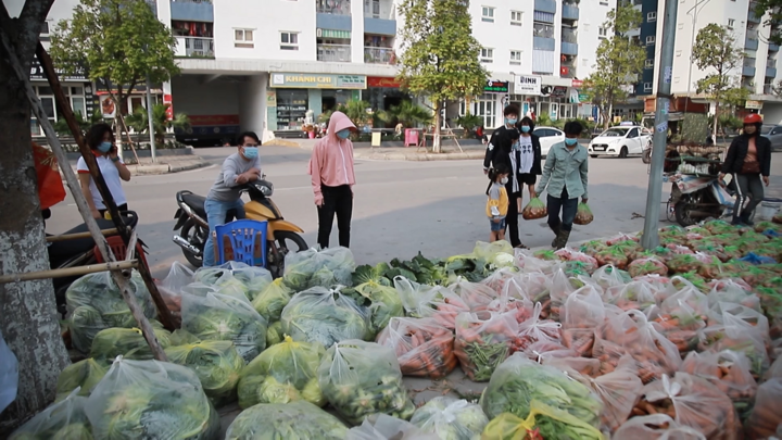 Video: Quầy hàng 'lấy tùy ý, trả tùy tâm' giải cứu nông sản Hải Dương