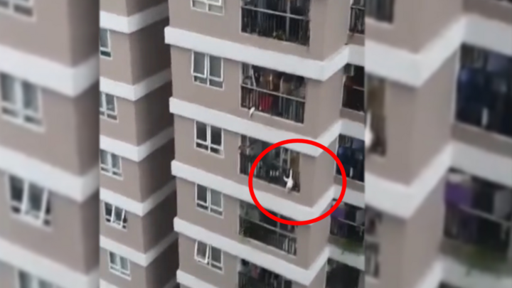 Video: Nam thanh niên cứu sống thần kỳ bé gái 2 tuổi rơi từ tầng 13 chung cư