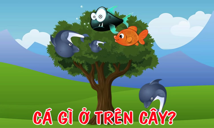 Đố mẹo 3 giây: Cá gì ở trên cây?