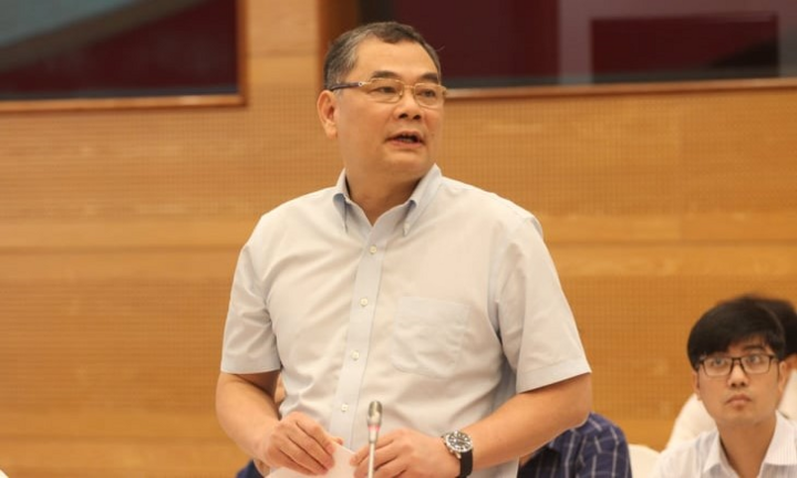 Vì sao đình chỉ điều tra vụ án tố cáo trong gia đình bà Tư Hường?