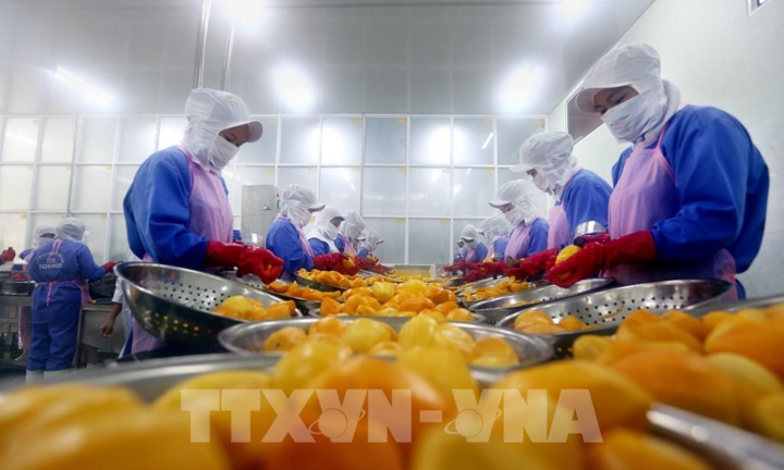 Việt Nam lần đầu lọt nhóm có Chỉ số Tự do kinh tế trung bình