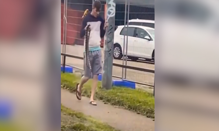 Video: Nam thanh niên cầm rắn tung tăng dạo phố