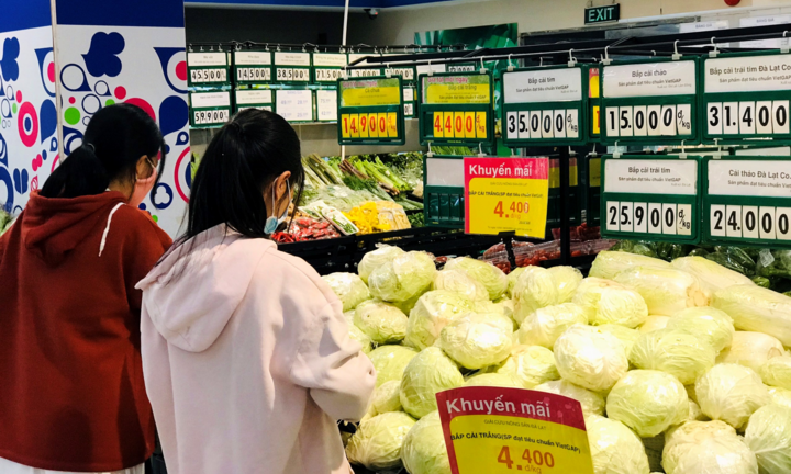 Siêu thị Co.opmart, Co.op Food giảm giá bắp cải Đà Lạt mạnh chưa từng có