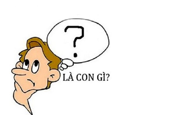 Đố mẹo: Con gì có lưỡi, có mũi nhưng không có đầu?