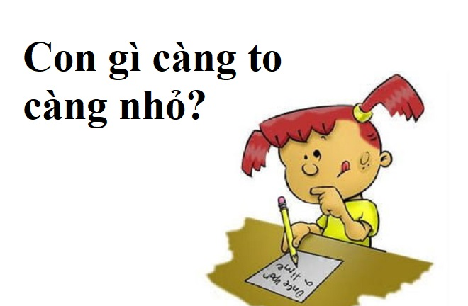 Đố mẹo 2 giây: Con gì càng to càng nhỏ?