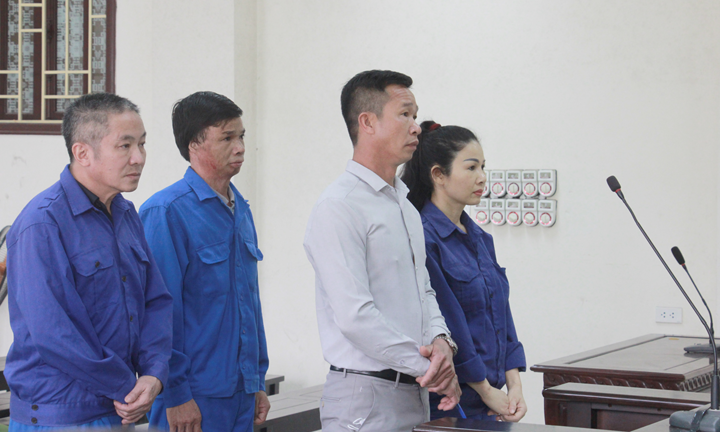 Nhận 16,5 năm tù vì đưa người ra nước ngoài trái phép, 3 anh em ruột kháng cáo