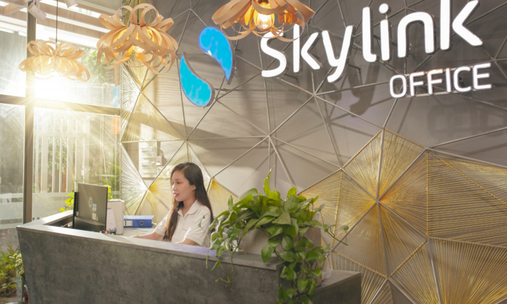 Skylink Group: Gã 'tân binh' khổng lồ