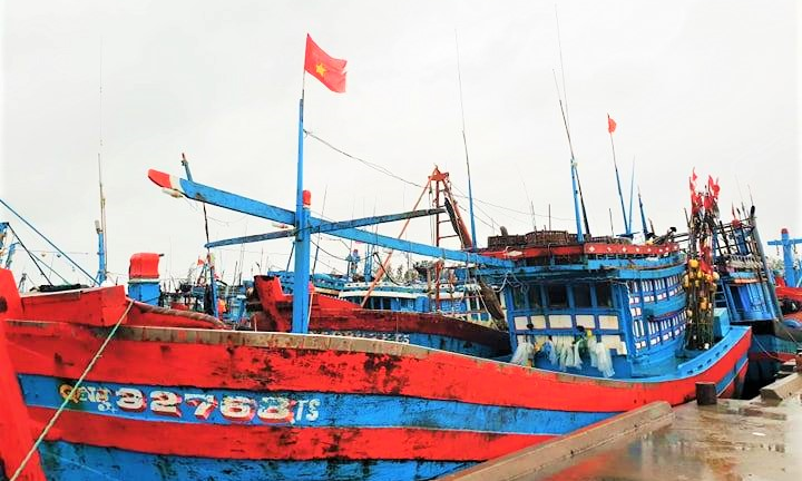 Quảng Ngãi cần 400 tỷ để 'giải bài toán' tàu cá thiếu chỗ neo đậu trú bão