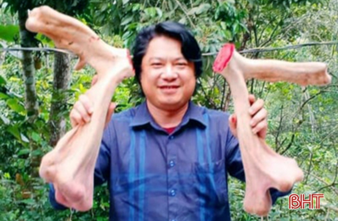 Cặp nhung hươu lớn chưa từng có ở Hà Tĩnh