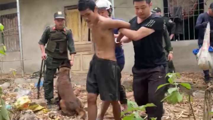 Video: Công an vây bắt kẻ giết người do mâu thuẫn khi lấy mật ong ở Sơn La