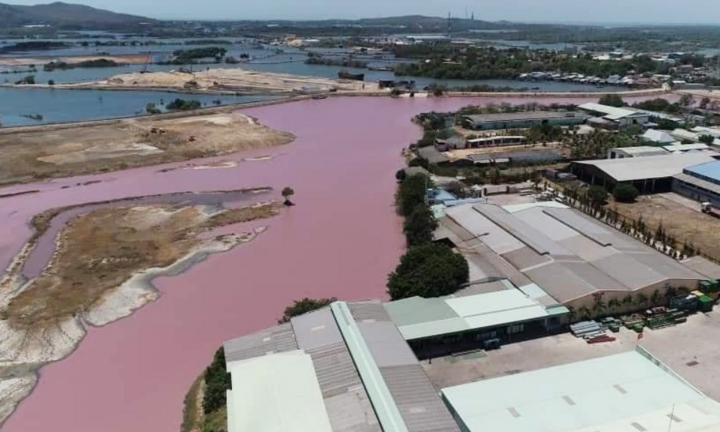 Đầm chứa nước đổi màu tím, bốc mùi thối: Sở TN&MT Bà Rịa - Vũng Tàu vào cuộc