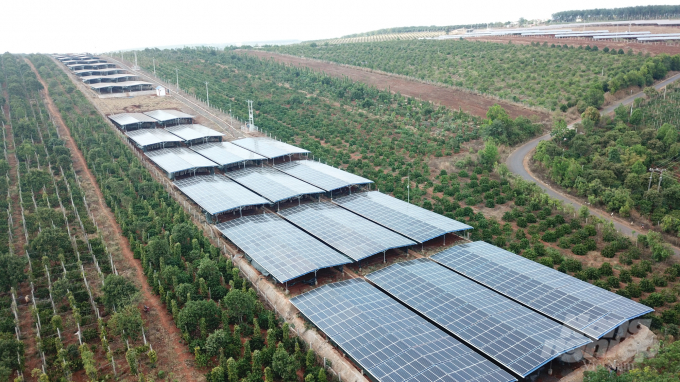 Trong cơn lốc điện mặt trời: Ra ngõ đụng tấm pin mặt trời