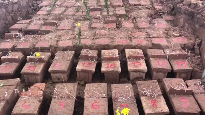 Video: Phát hiện gần 200 ngôi mộ tại dự án xây dựng ở Hà Nội