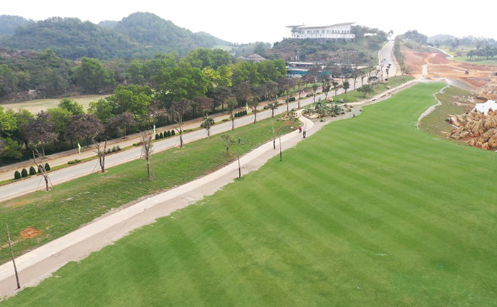 Cổ phiếu ‘tí hon’ tăng dựng đứng dù kinh doanh bết bát