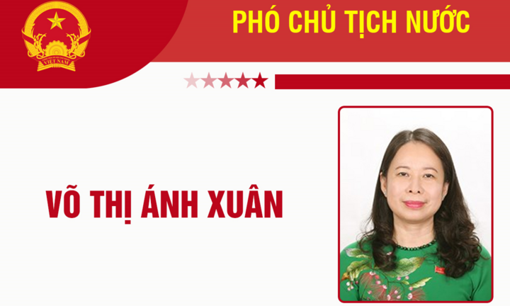 Infographic: Sự nghiệp Phó Chủ tịch nước Võ Thị Ánh Xuân