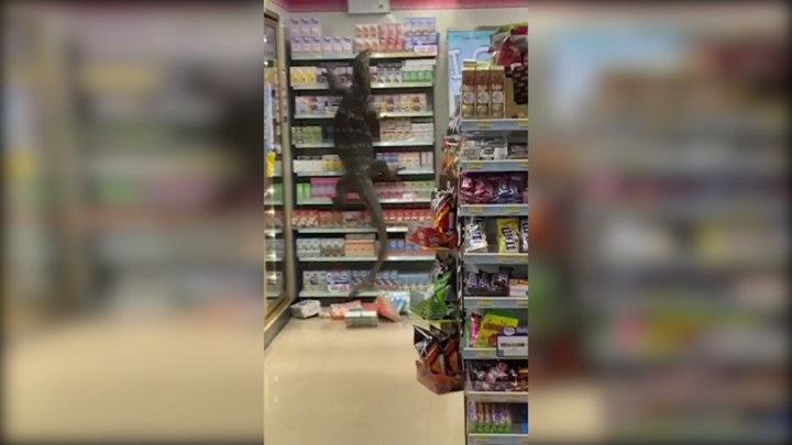 Video: Kỳ đà 'Godzilla' dài hơn 2m đột nhập siêu thị ở Thái Lan