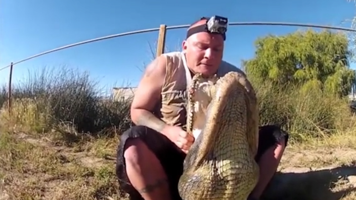 Video: Kinh hãi cảnh người đàn ông dùng tay không mở miệng cá sấu