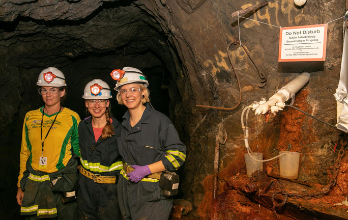 Kỳ lạ sinh vật 'như ngoài hành tinh' sống khỏe trong mỏ vàng