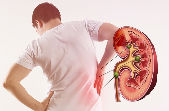 Kết hợp Đông Tây y: Giải pháp chữa thận yếu, thận hư hiệu quả