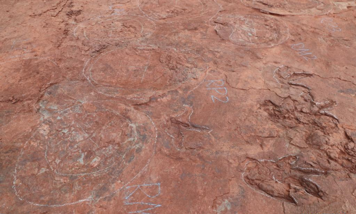 Phát hiện 'sàn nhảy của khủng long' ở Trung Quốc