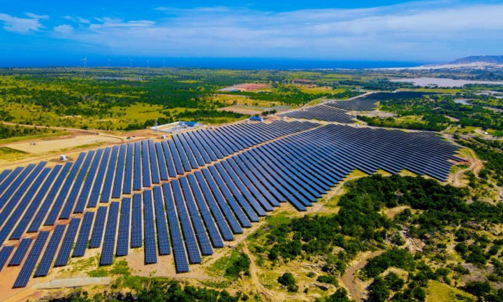  Bị phản ánh quây bao hồ thủy lợi, chủ đầu tư điện mặt trời Bàu Ngứ nói gì?