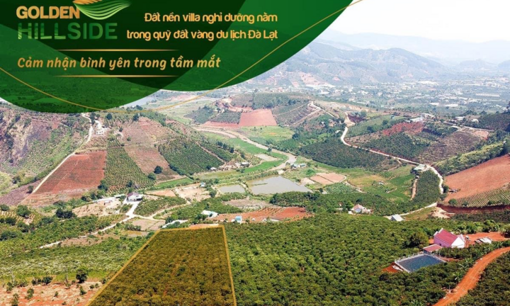 Vẽ đất nền trên giấy, thu hàng tỷ đồng từ đồi cà phê mang tên Golden Hillside?