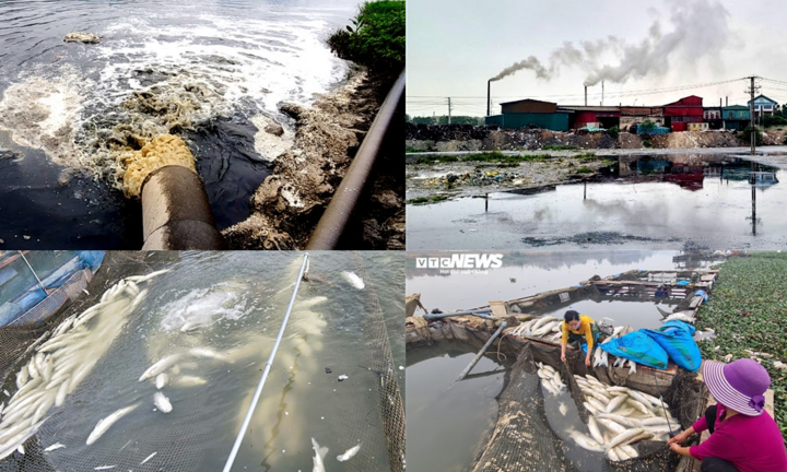 Video: Kinh hãi dòng sông Cầu chết chóc