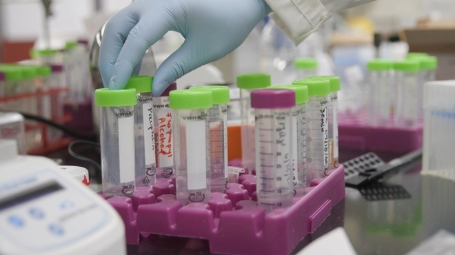 Phát hiện biến chủng SARS-CoV-2 mới tại Mỹ