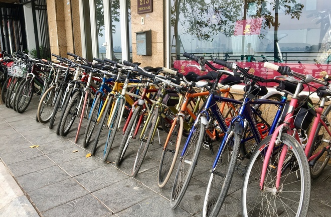 Dịch vụ cho thuê xe đạp ở hồ Tây 'vào mùa', kiếm tiền triệu mỗi ngày