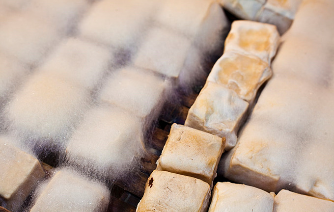 Video: Đặc sản đậu phụ 'mọc lông' ở Trung Quốc