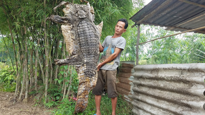 Video: Người dân bắt được nhiều cá sấu ở vùng ven TP.HCM